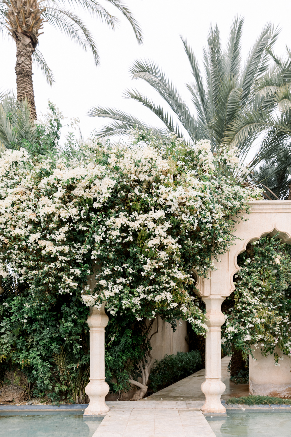 trailing white bougainvilleas cover the muted red Moroccan arches in the most luxurious way. Palm tress in the background.