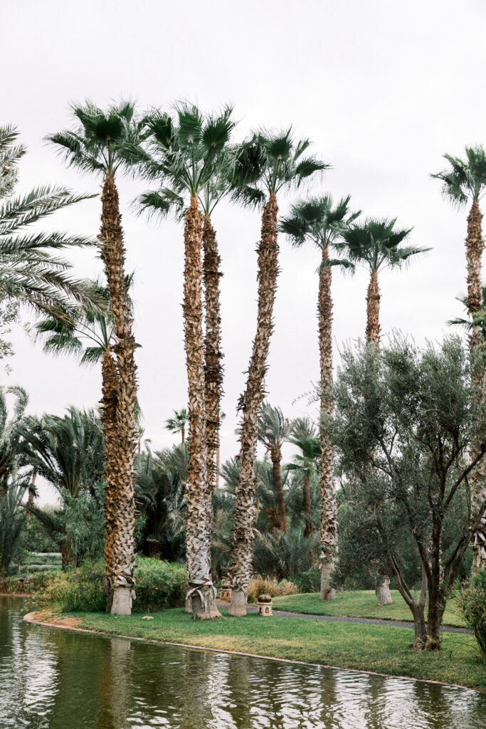 palm trees in the heart of Palais Namaskar a luxury Morocco Wedding Venue